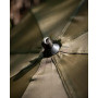 Чадър Fox New 60 inch Brolly Green_FOX