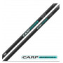 RIVE R-Carp Special - Pole 9.50 m_Rive