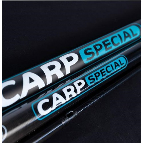 RIVE R-Carp Special - Pole 9.50 m_Rive
