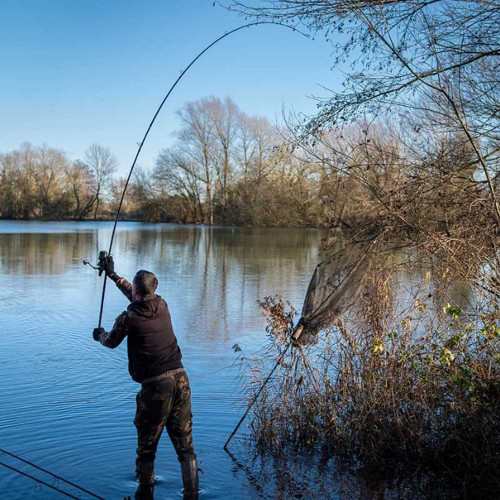 Шаранджийска въдица FOX Eos X 12ft 366cm 3.5lb Full Shrink_FOX CARP