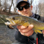 SAVAGE GEAR 3D Sticklebait Twitch 6.5cm 9.4 Sinking