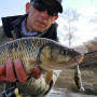 SAVAGE GEAR 3D Sticklebait Twitch 6.5cm 9.4 Sinking