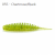 055<br>Chartreuse-Black