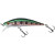 20017666-
			HL Rainbow Trout