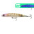 30509-Green Pink Shrimp