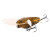 30327-Brown Spotted