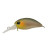 23197-SHIZUOKA BIZIN
