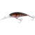 24618-MAMO SHRIMP