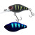 31018-UV MAT BLACK PERCH