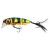 23521-Perch