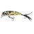 23522-Shad