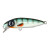 23541-Herring
