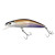 17904-Pond Smelt