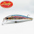28536-MS American Shad