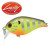 28555-Gorgeous Purple Chart Gill