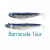 9937-Barracuda Tour