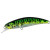 14668-Green Mackerel