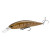 26077-Brown Trout