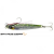 15849-Green Mackerel PHP