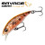 Fluo Orange Copper<br>- КОД : 
SVS72323