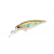 52670011-
			№11 Brown Trout