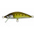 20001716-
			Gudgeon