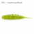 8158-055 - Chartreuse-Black