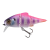 24604-PINK BACK KOGILL