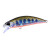 26514-Yamame OB