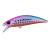26522-Sakura Sardine