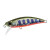 23422-Yamame Red Belly