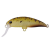 25810-ENDO SUKE PUMPKIN
