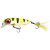 23524-Hot Perch