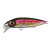 23543-Rainbow Trout