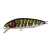23544-Northern Pike