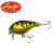 28557-Black and Gold