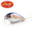 28556-MS American Shad