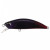 15531-Black Demon