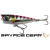 15443-Pink Barracuda PHP