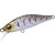 24157837-
			157837<br>Amago