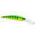 28497-Golden Perch