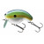 Blue Perch