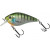 20031602-
			Blue Gill GB