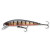 pearl ghost perch