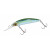 NATURAL GHOST SHAD