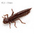 8942-012<br>Chaos