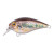 13490-Gudgeon