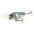 30332-Spotted Blue
