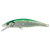 21244-FLASH GREEN BACK