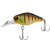 31022-NOIKE GILL